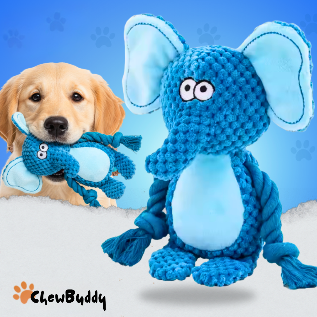 Chewbuddy: para tirar, morder y amar