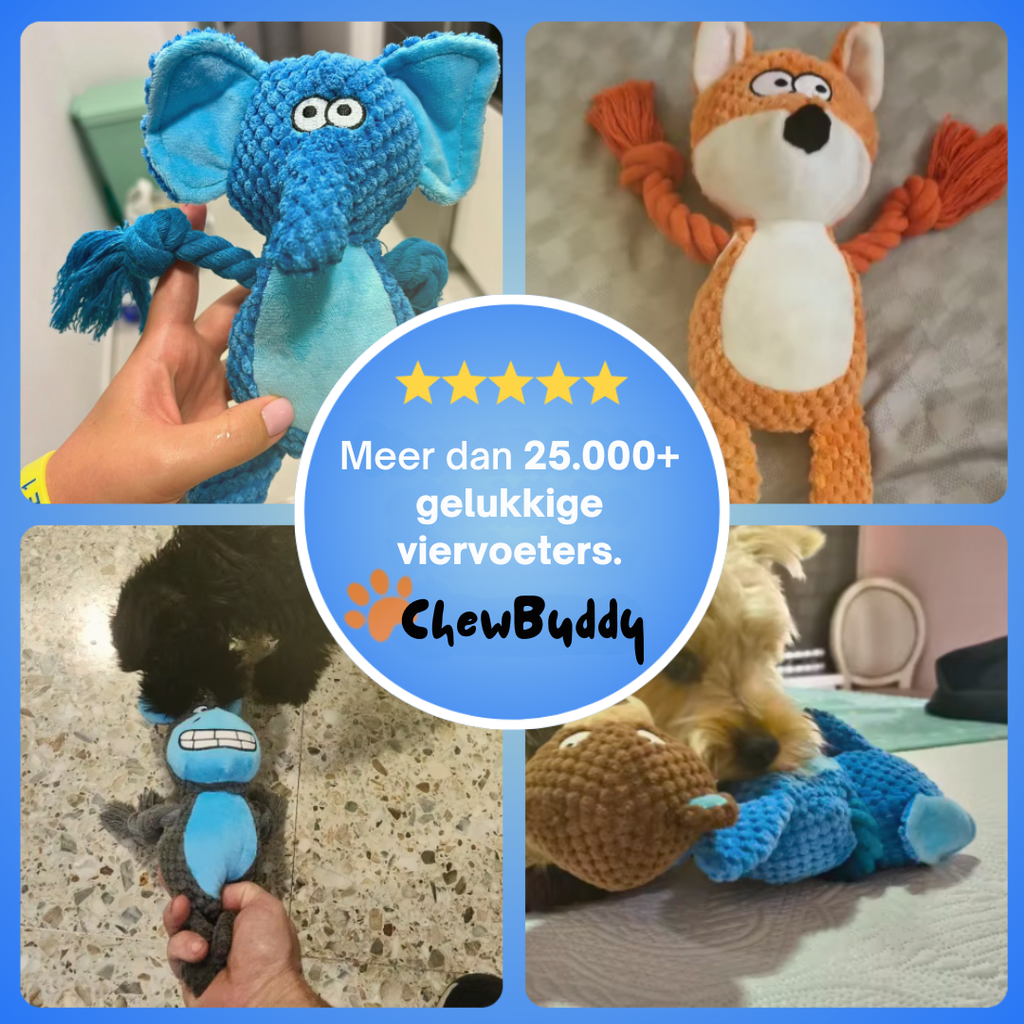 Chewbuddy: para tirar, morder y amar