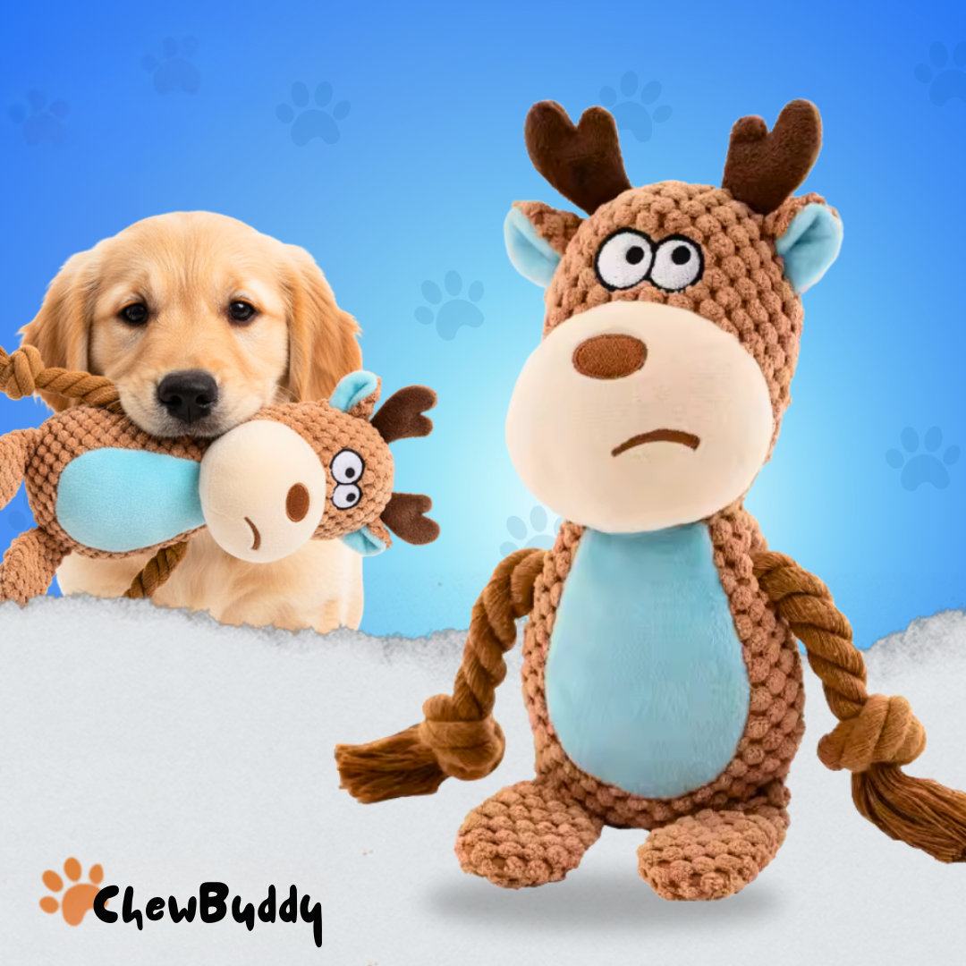 Chewbuddy: para tirar, morder y amar