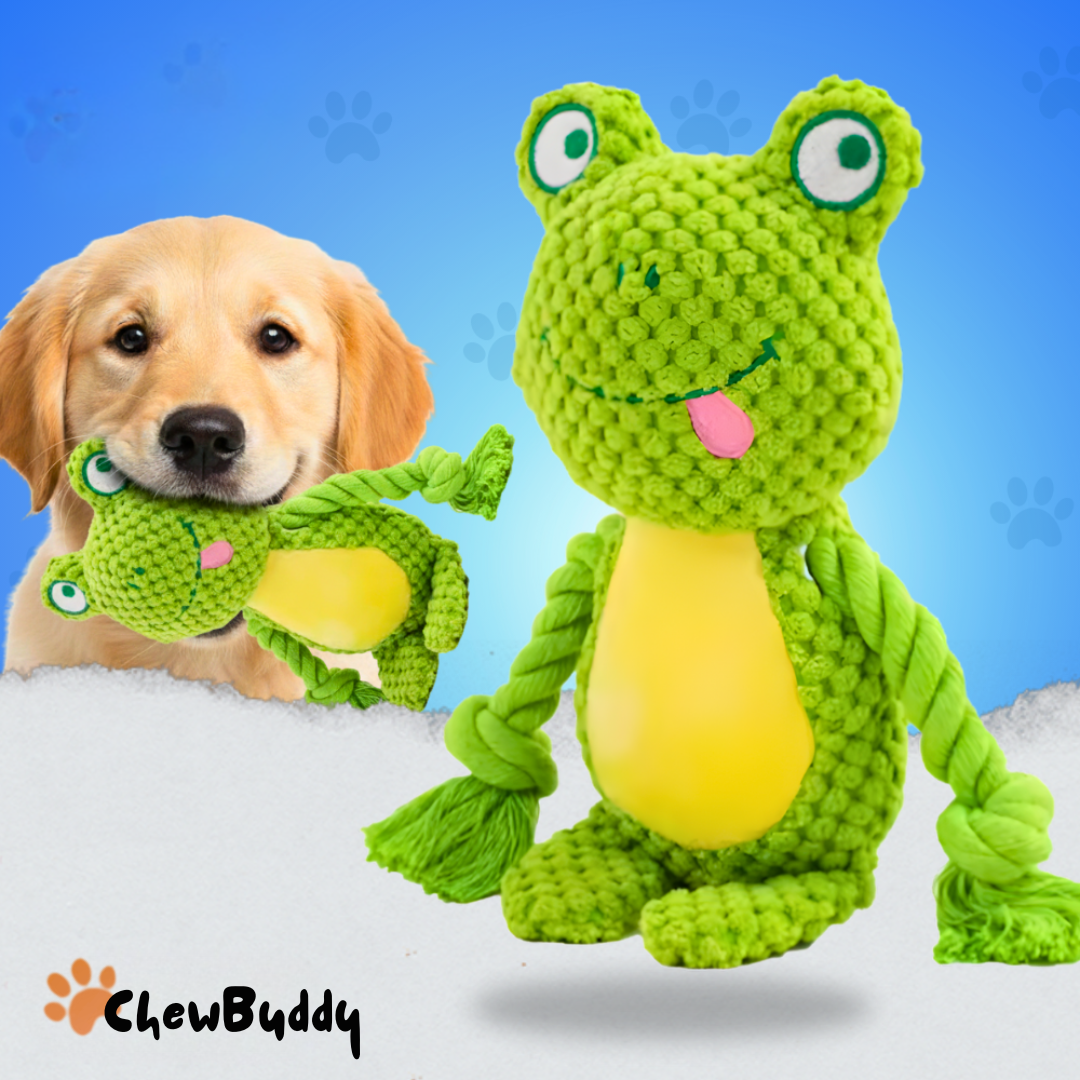 Chewbuddy: para tirar, morder y amar