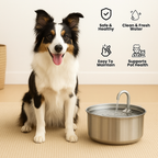 Bebedero para perros + 2 filtros de agua GRATIS