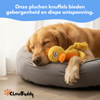 Chewbuddy: para tirar, morder y amar