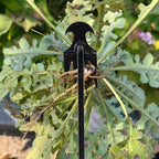 Weedpull Pro 2-pack tuin onkruidtrekker – onkruidverwijderingsgereedschap