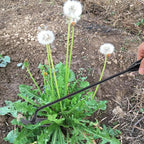 Weedpull Pro 2-pack tuin onkruidtrekker – onkruidverwijderingsgereedschap