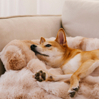 Cama Relajante para Perros – Protege el Sofá y Ofrece Máximo Confort
