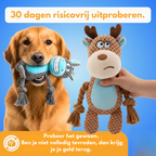 Chewbuddy: para tirar, morder y amar