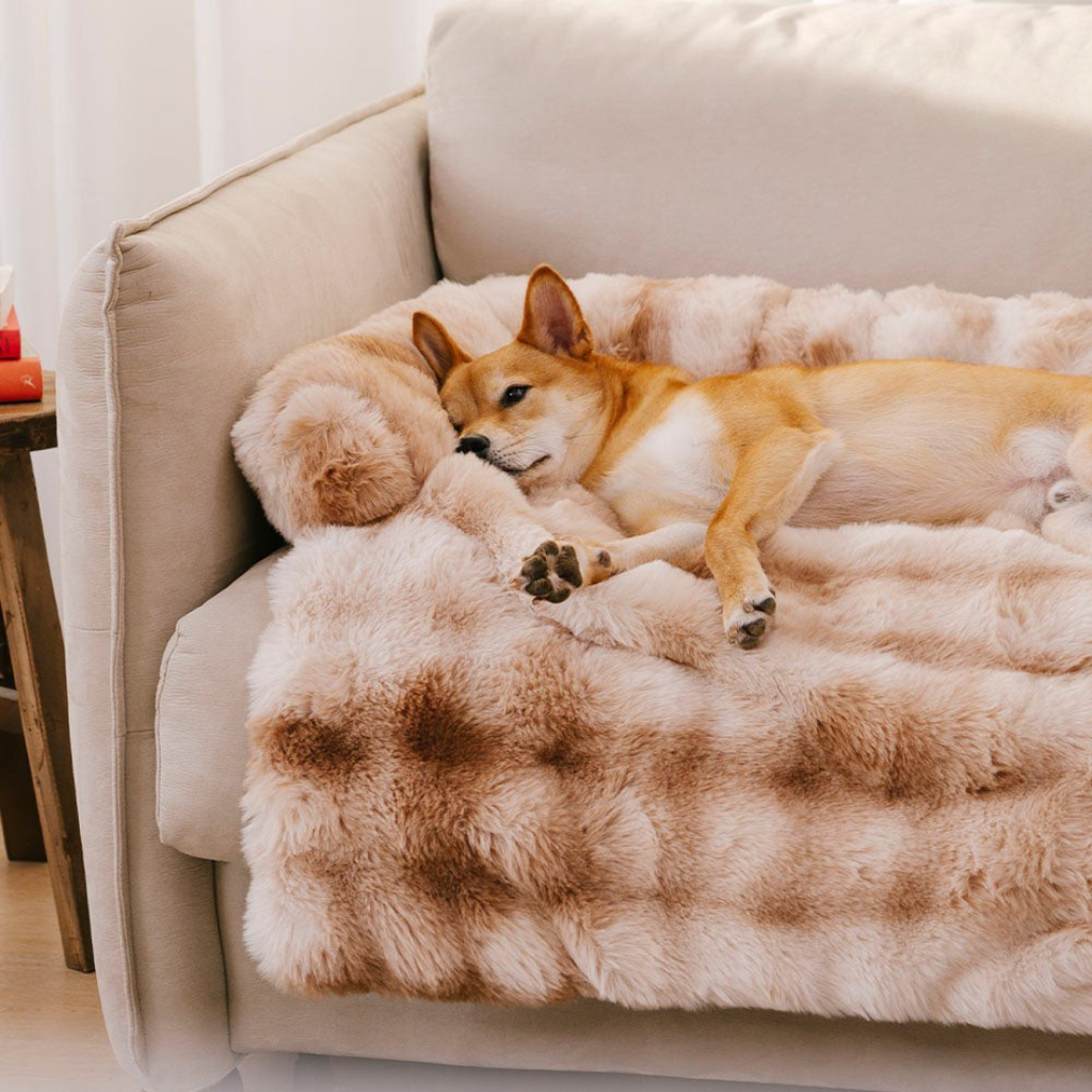 Cama Relajante para Perros – Protege el Sofá y Ofrece Máximo Confort
