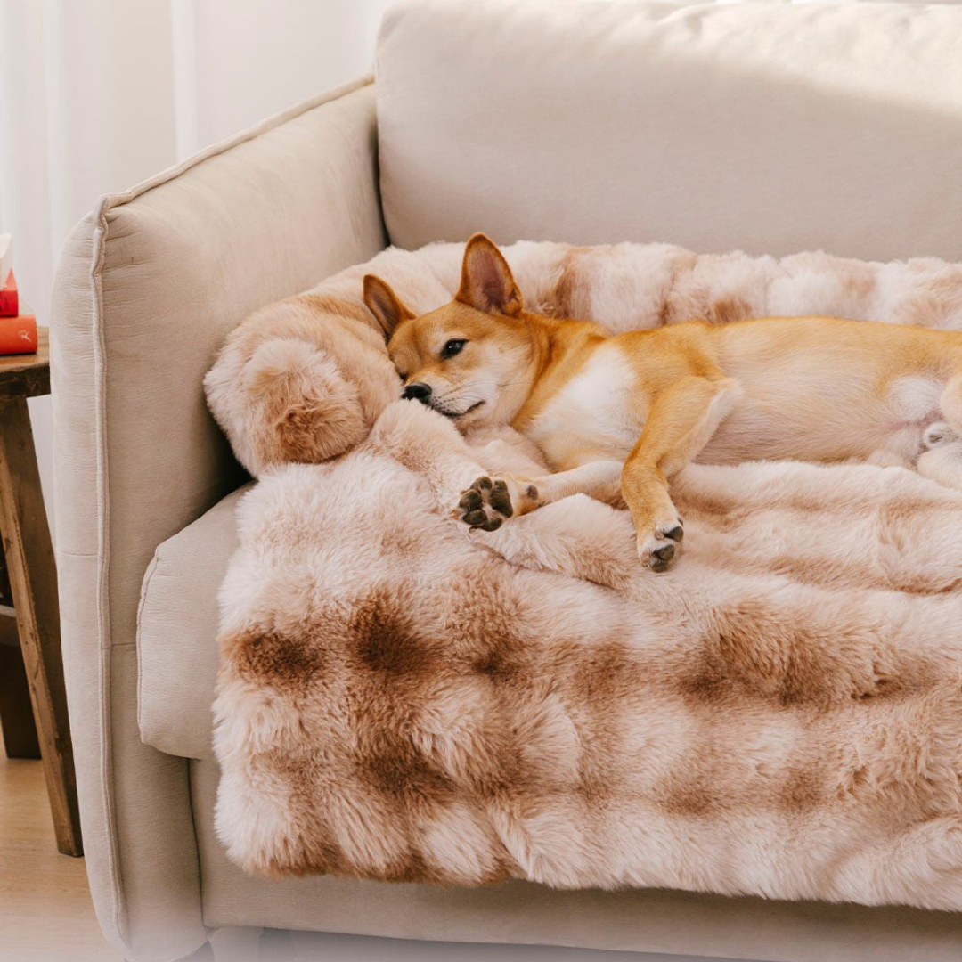 Cama Relajante para Perros – Protege el Sofá y Ofrece Máximo Confort