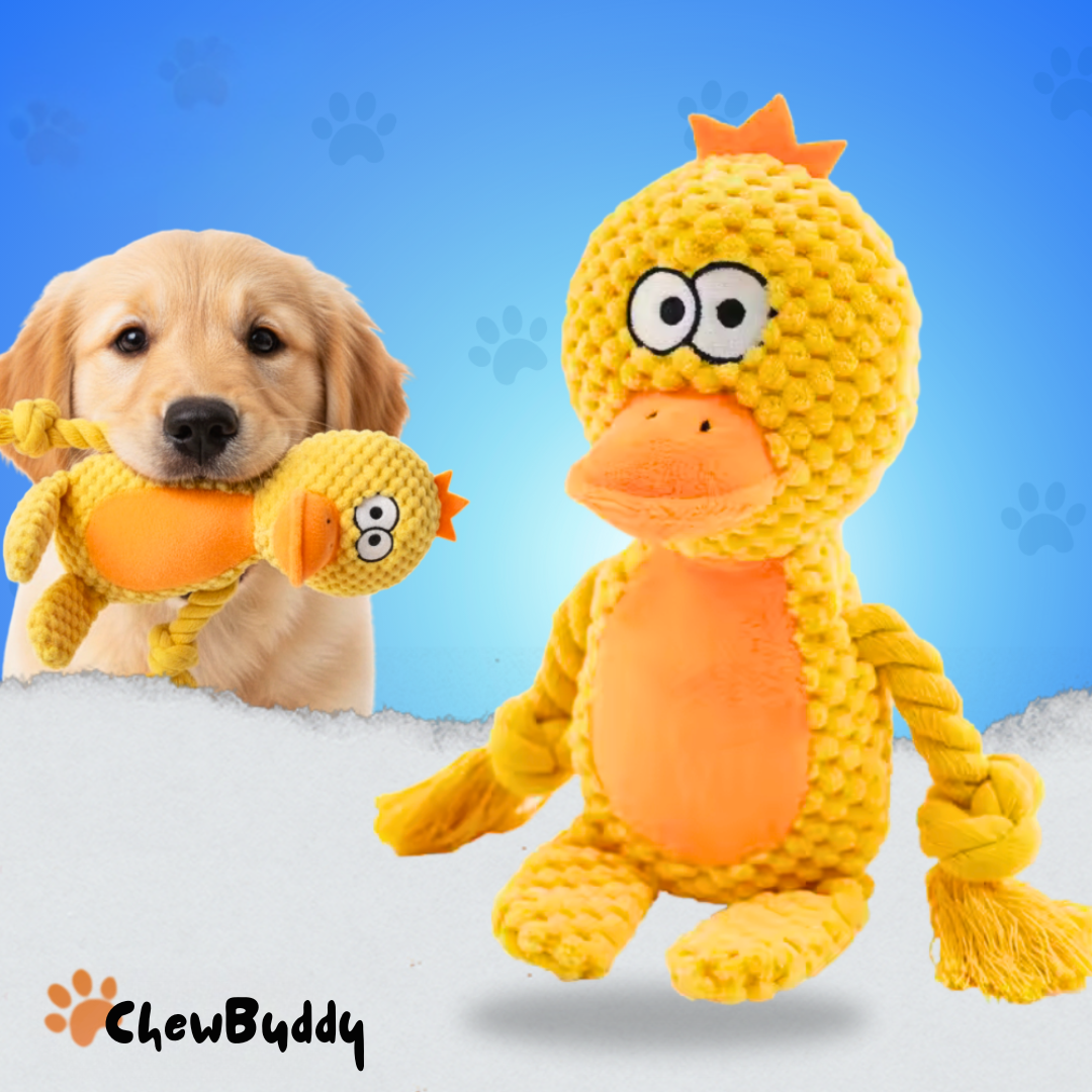 Chewbuddy: para tirar, morder y amar