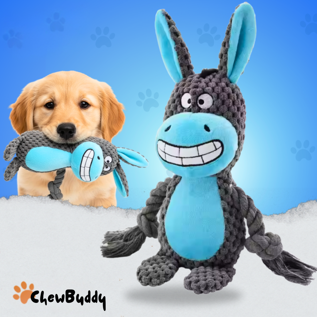 Chewbuddy: para tirar, morder y amar
