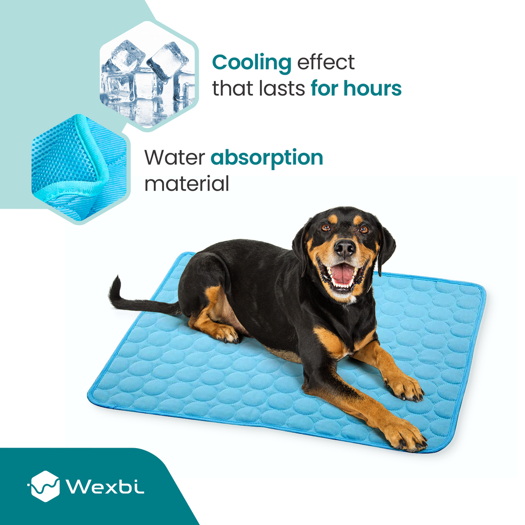 CoolPaws™ Colchoneta Refrigerante para Perros