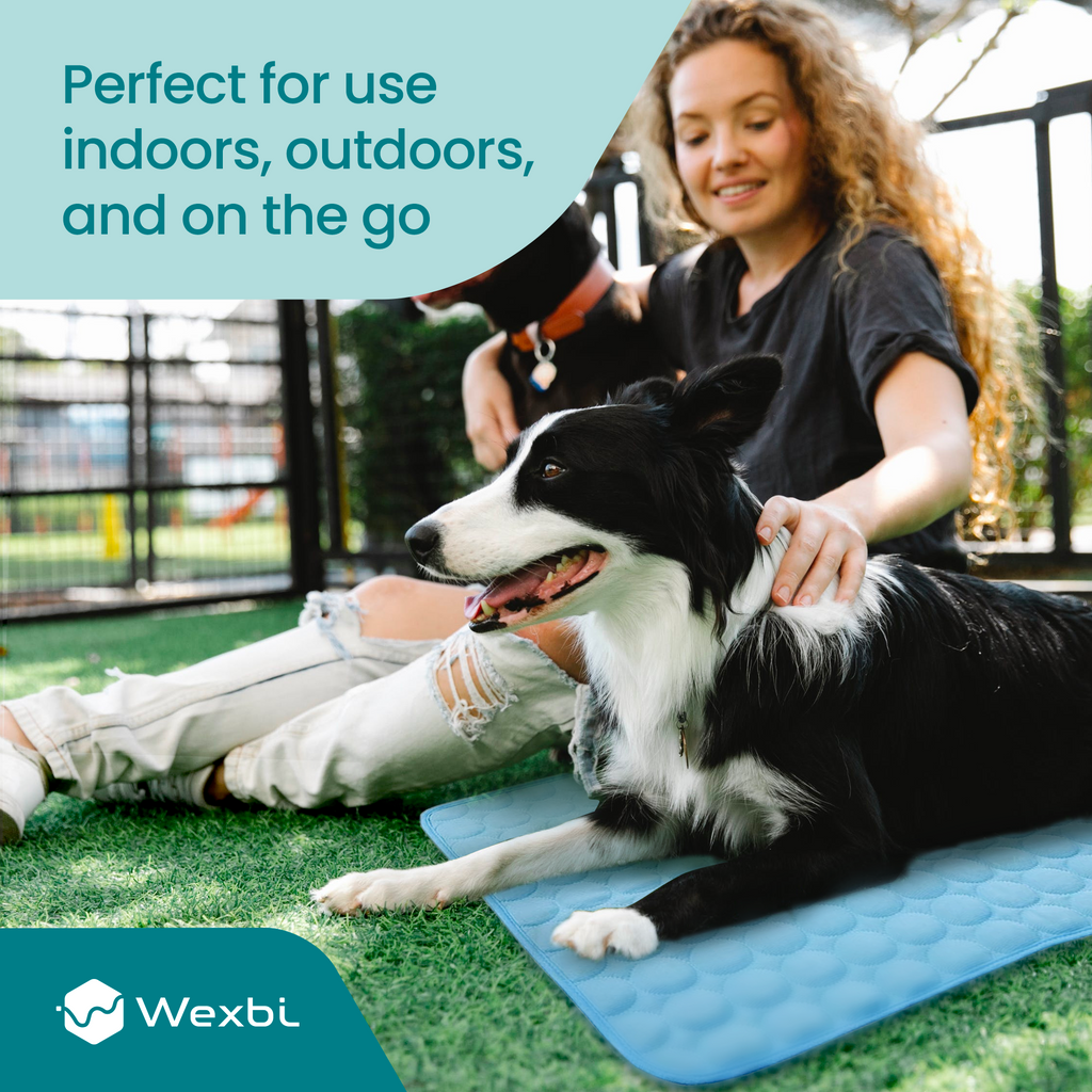 CoolPaws™ Colchoneta Refrigerante para Perros
