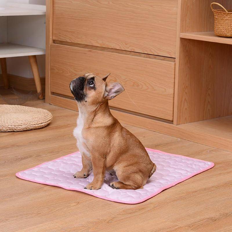 Alfombra Refrescante para Perros CoolTail® con Absorción de Calor para una Comodidad Óptima