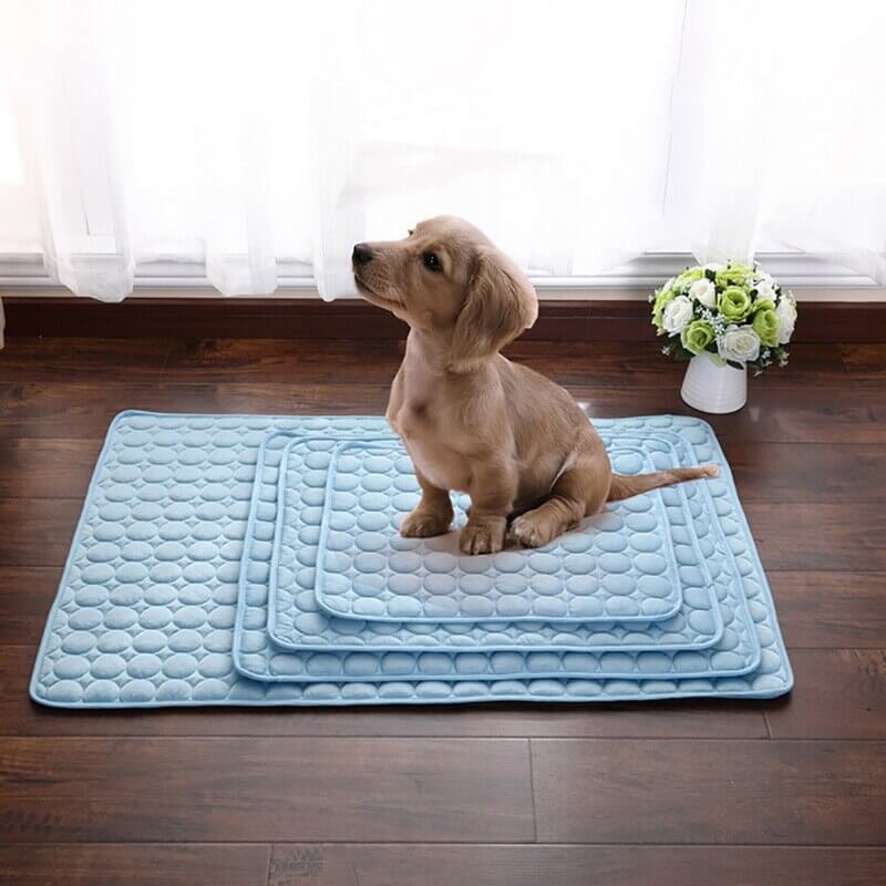 Alfombra Refrescante para Perros CoolTail® con Absorción de Calor para una Comodidad Óptima