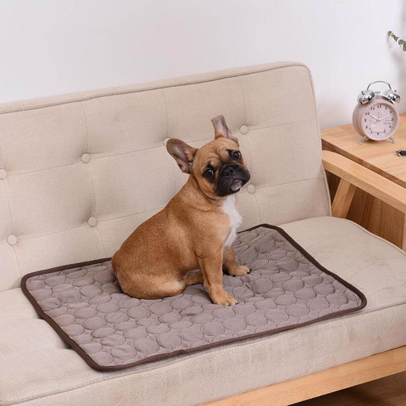 Alfombra Refrescante para Perros CoolTail® con Absorción de Calor para una Comodidad Óptima