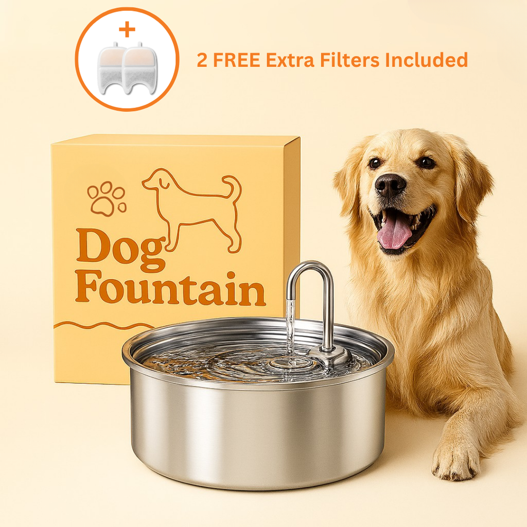 Bebedero para perros + 2 filtros de agua GRATIS